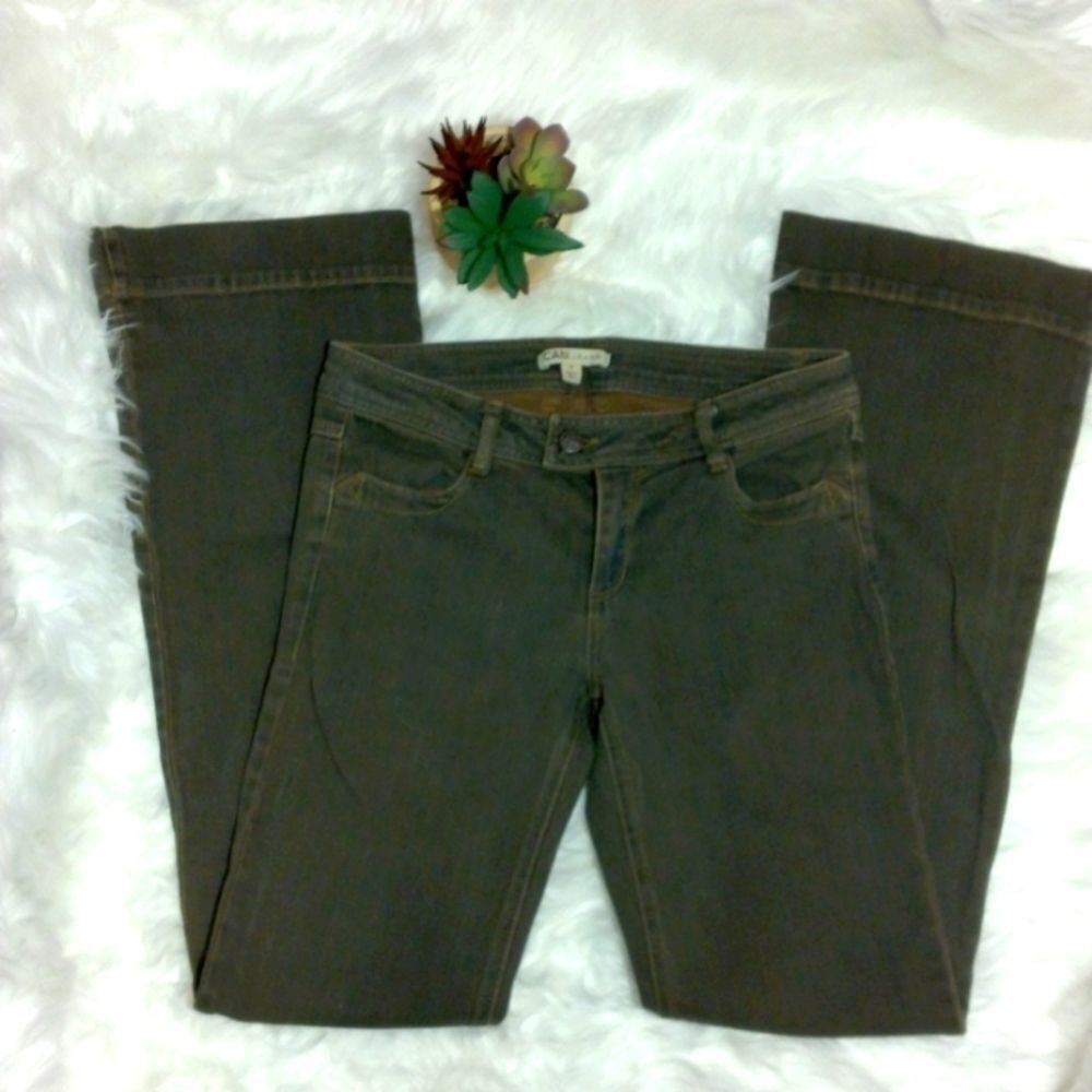 Cabi Jeans Size 4 Brown Wash Boot Cut.